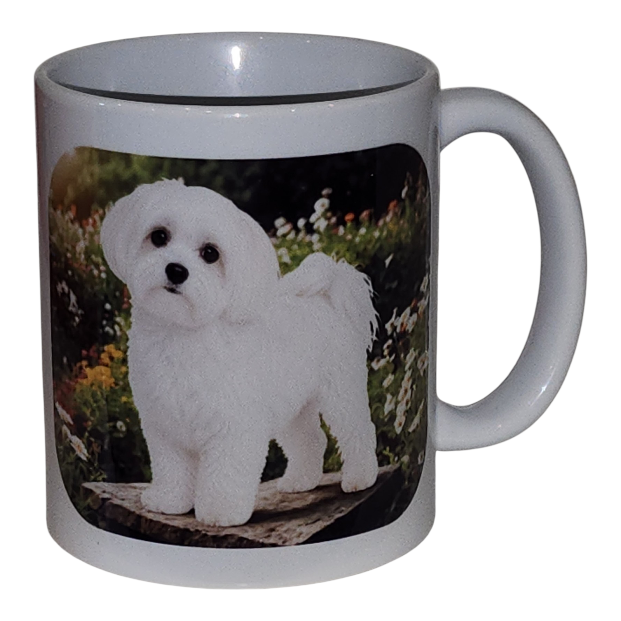 Mug Bichon Maltais colector pour commencez votre journée avec un sourire et beaucoup de douceur